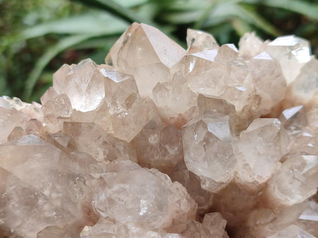 Natural Large Cascading White Phantom Clear Smokey Luena Quartz Cluster x 1 From Luena, Congo - Toprock Gemstones and Minerals 