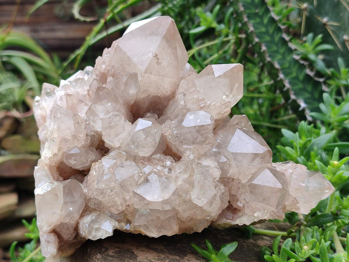 Natural Large Cascading White Phantom Clear Smokey Luena Quartz Cluster x 1 From Luena, Congo - Toprock Gemstones and Minerals 