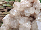 Natural Large Cascading White Phantom Clear Smokey Luena Quartz Cluster x 1 From Luena, Congo - Toprock Gemstones and Minerals 
