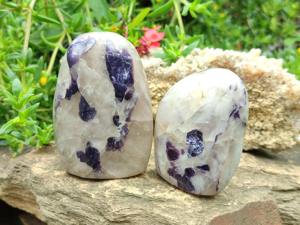 Polished Lepidolite Standing Display Pieces x 4 From Zimbabwe - Toprock Gemstones and Minerals 