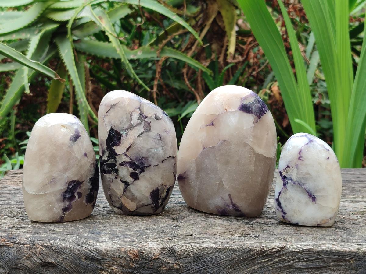 Polished Lepidolite Standing Display Pieces x 4 From Zimbabwe - Toprock Gemstones and Minerals 