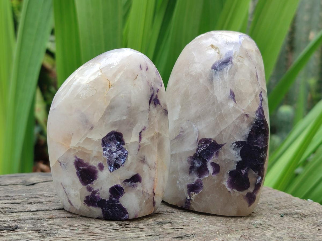 Polished Lepidolite Standing Display Pieces x 4 From Zimbabwe - Toprock Gemstones and Minerals 
