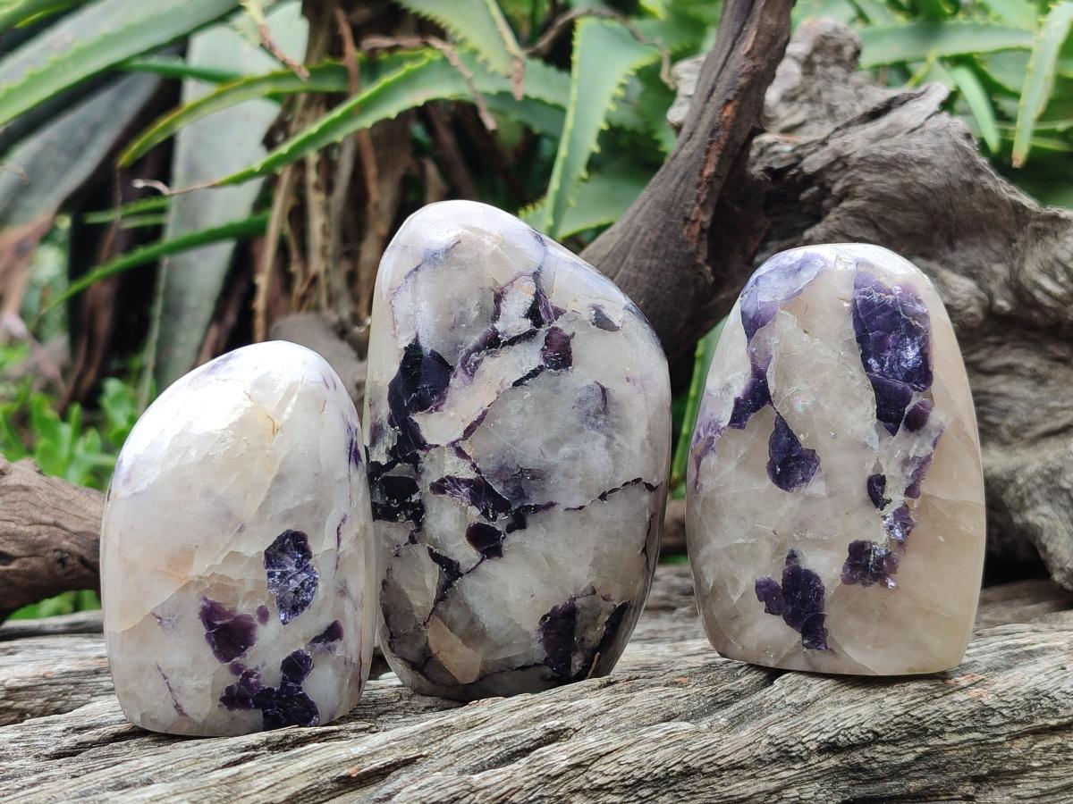 Polished Lepidolite Standing Display Pieces x 4 From Zimbabwe - Toprock Gemstones and Minerals 