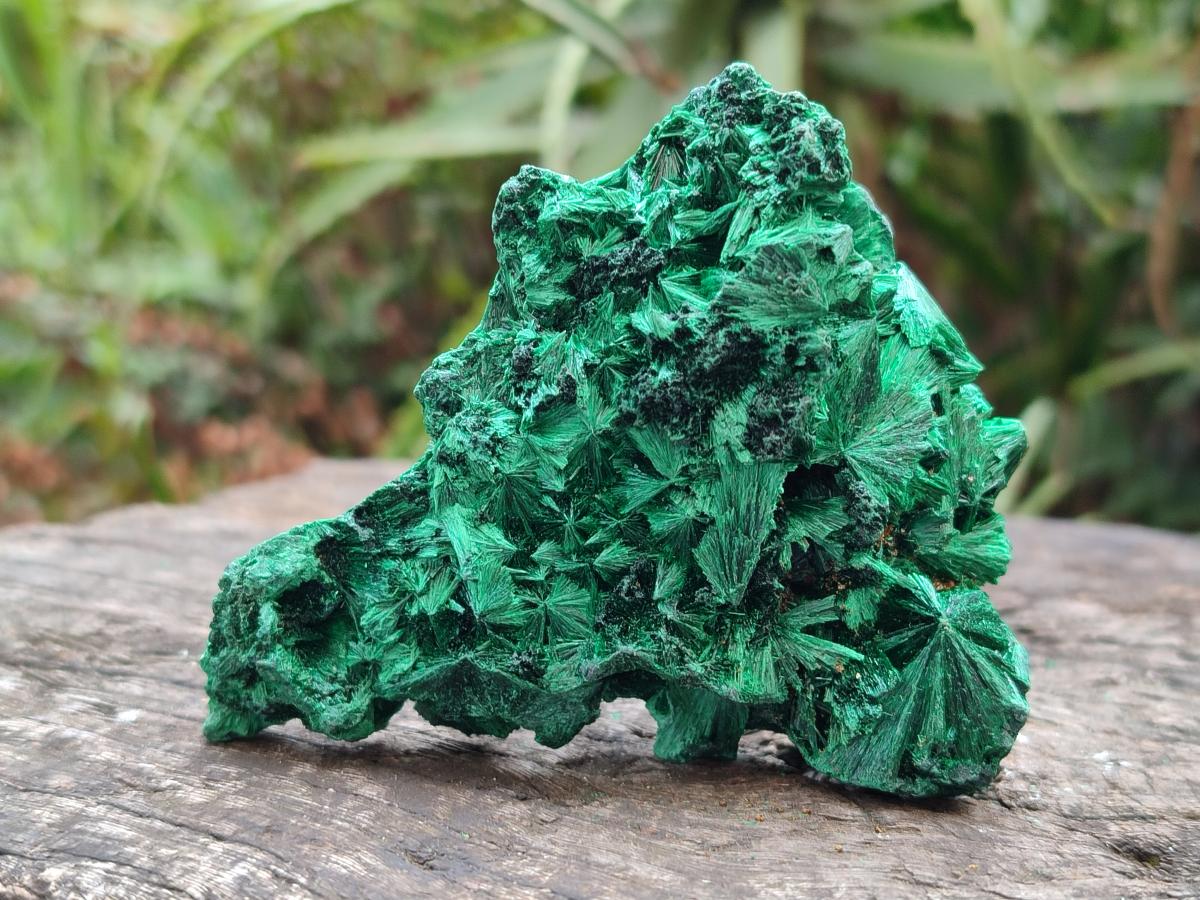 Natural Silky Malachite Specimens x 6 From Kasompe, Congo - Toprock Gemstones and Minerals 