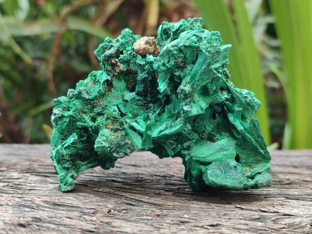 Natural Silky Malachite Specimens x 6 From Kasompe, Congo - Toprock Gemstones and Minerals 