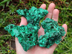 Natural Silky Malachite Specimens x 6 From Kasompe, Congo - Toprock Gemstones and Minerals 