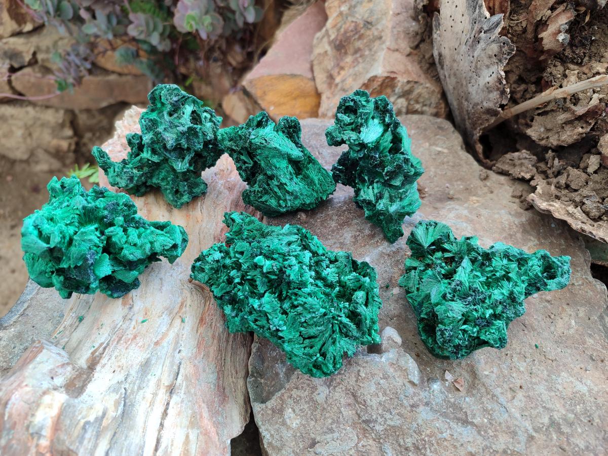 Natural Silky Malachite Specimens x 6 From Kasompe, Congo - Toprock Gemstones and Minerals 