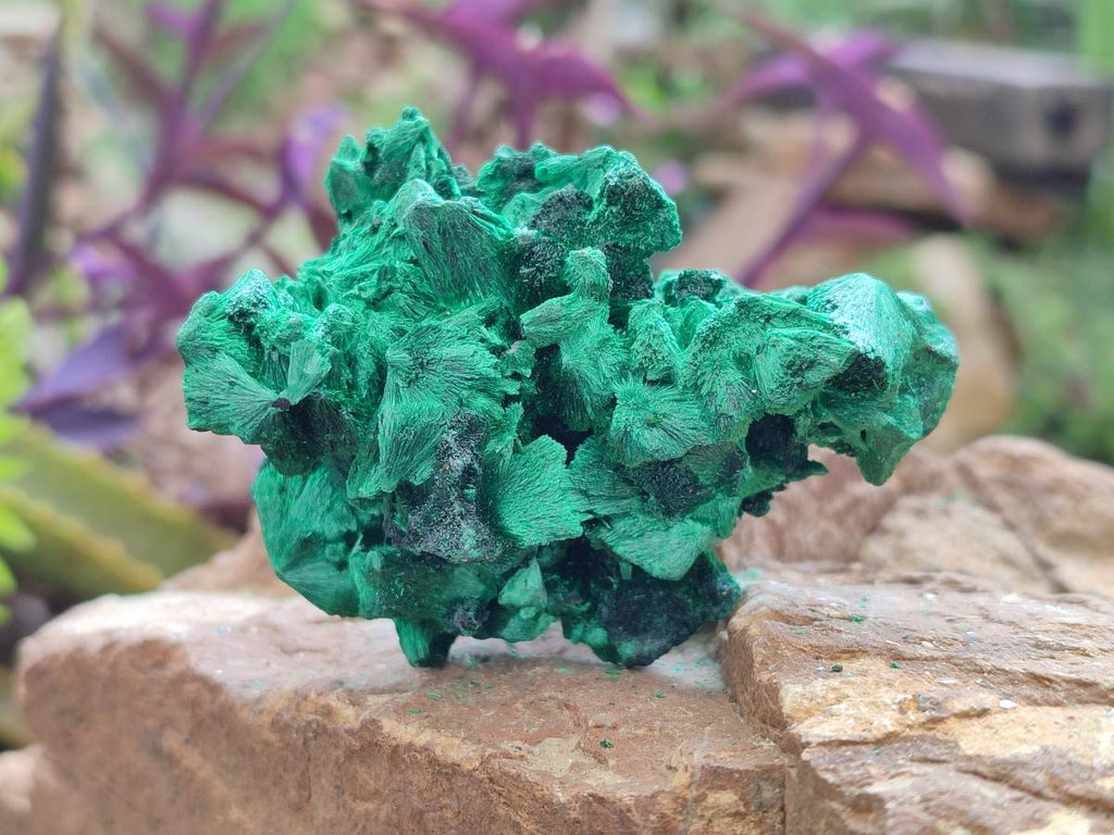 Natural Silky Malachite Specimens x 6 From Kasompe, Congo - Toprock Gemstones and Minerals 