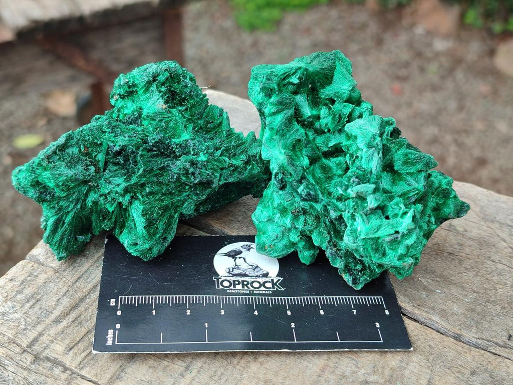 Natural Silky Malachite Specimens x 6 From Kasompe, Congo - Toprock Gemstones and Minerals 