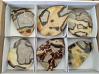 Polished Septerye Slices x 6 From Mahajanga, Madagascar - Toprock Gemstones and Minerals 