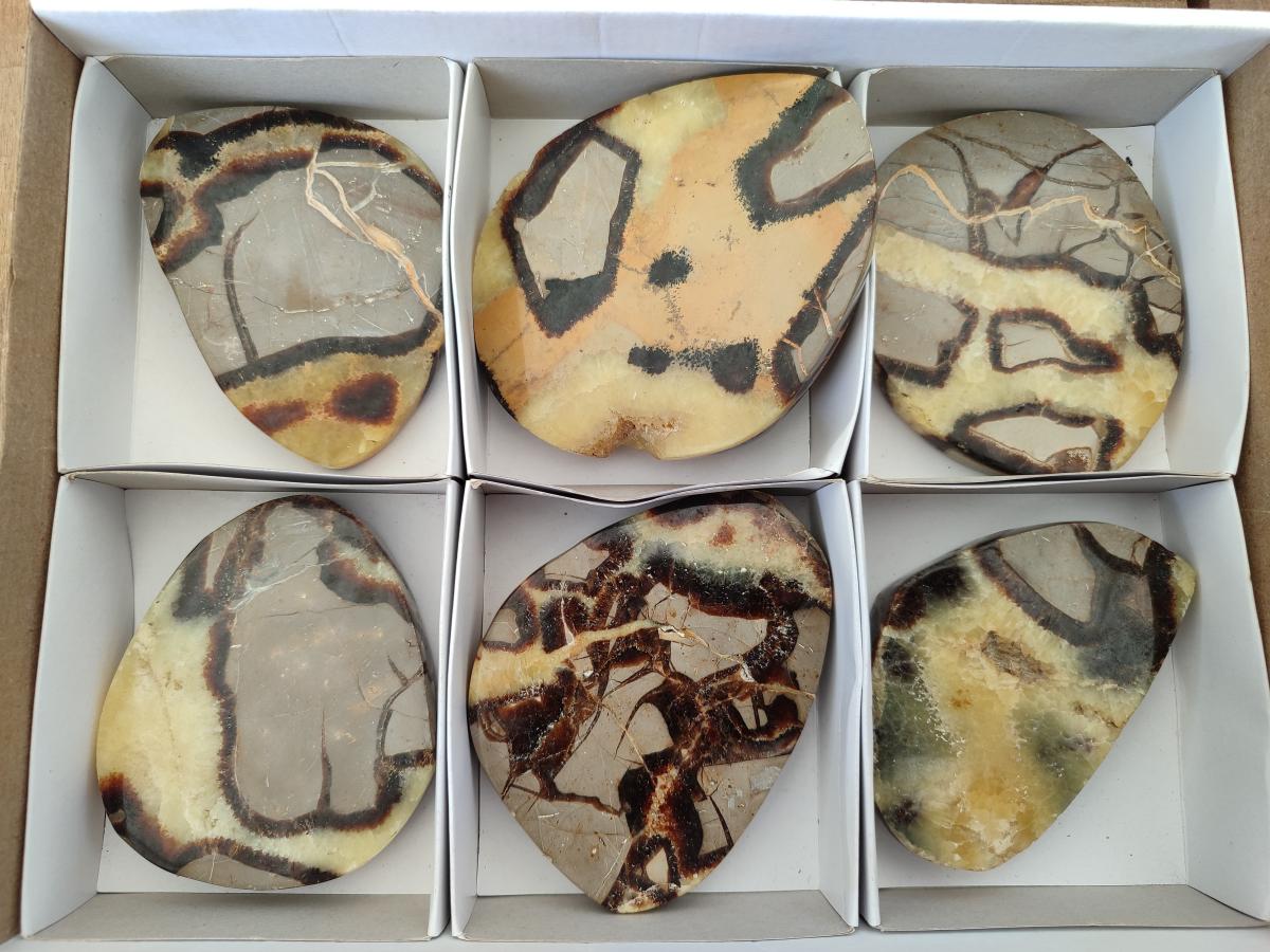 Polished Septerye Slices x 6 From Mahajanga, Madagascar - Toprock Gemstones and Minerals 