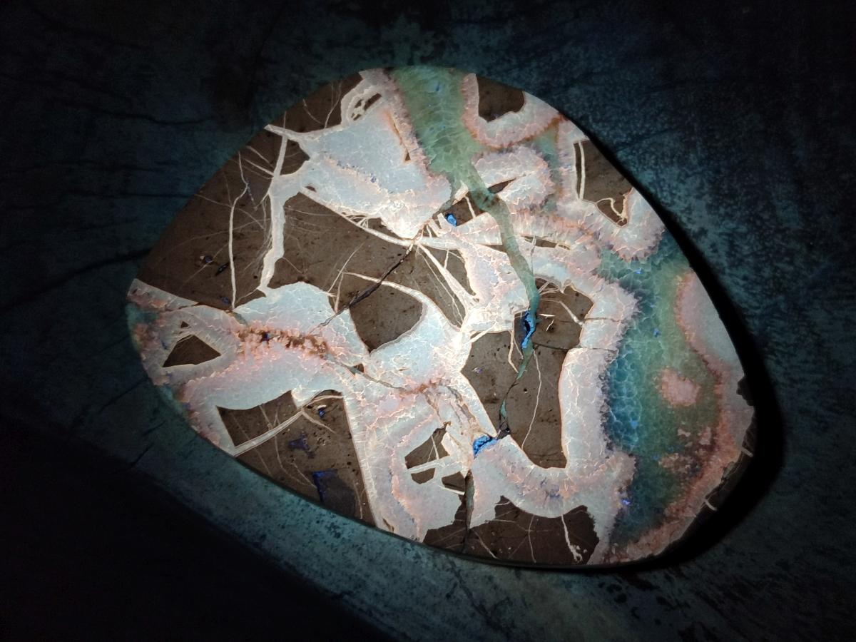 Polished Septerye Slices x 6 From Mahajanga, Madagascar - Toprock Gemstones and Minerals 