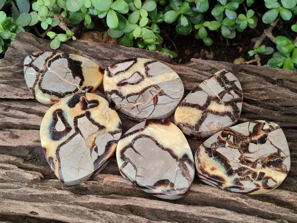 Polished Septerye Slices x 6 From Mahajanga, Madagascar - Toprock Gemstones and Minerals 