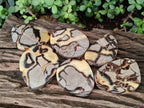 Polished Septerye Slices x 6 From Mahajanga, Madagascar - Toprock Gemstones and Minerals 