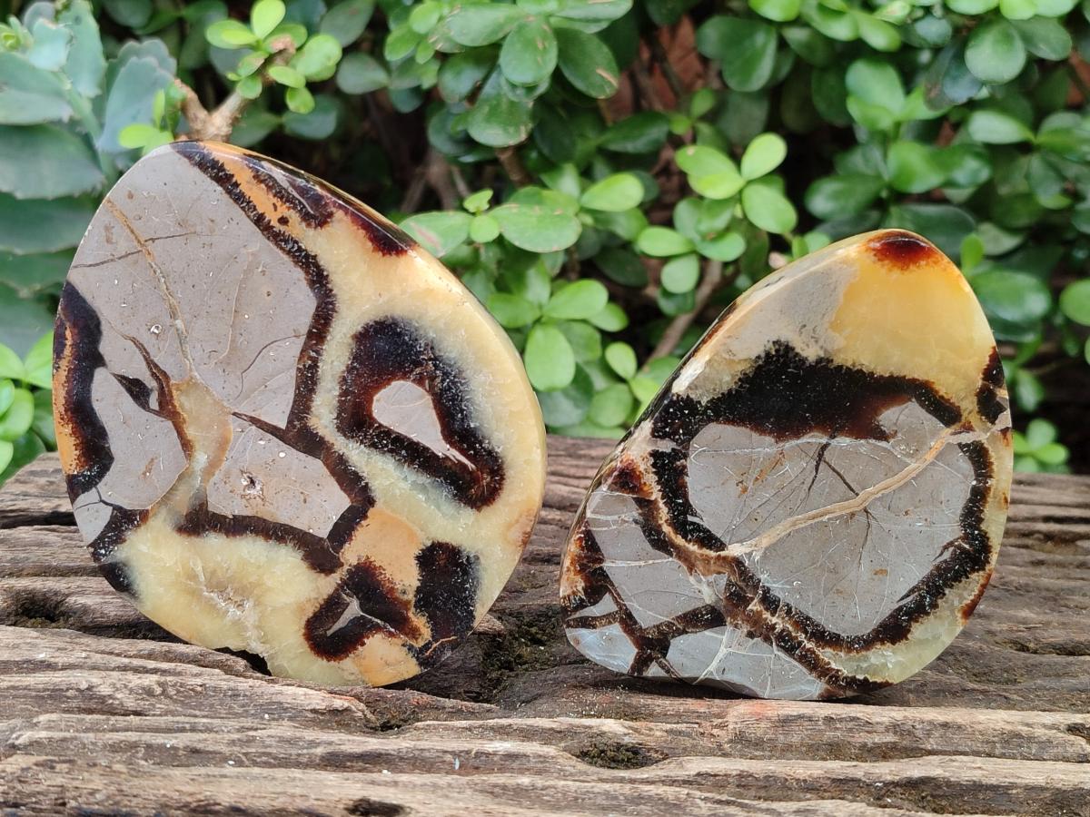 Polished Septerye Slices x 6 From Mahajanga, Madagascar - Toprock Gemstones and Minerals 