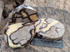 Polished Septerye Slices x 6 From Mahajanga, Madagascar - Toprock Gemstones and Minerals 