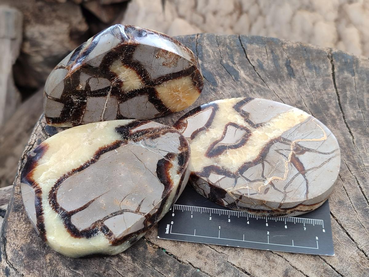 Polished Septerye Slices x 6 From Mahajanga, Madagascar - Toprock Gemstones and Minerals 