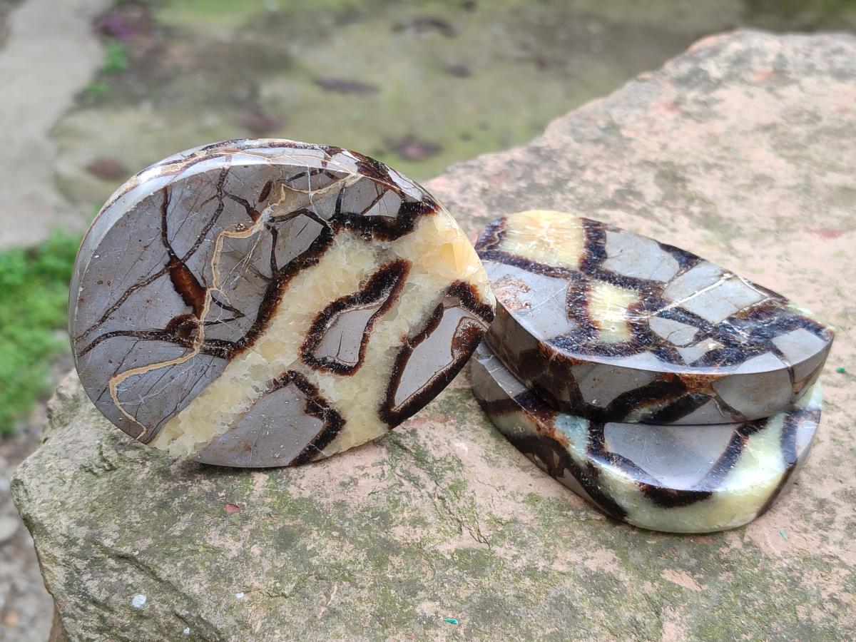 Polished Septerye Slices x 6 From Mahajanga, Madagascar - Toprock Gemstones and Minerals 