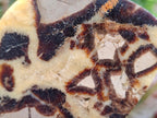Polished Septerye Slices x 6 From Mahajanga, Madagascar - Toprock Gemstones and Minerals 