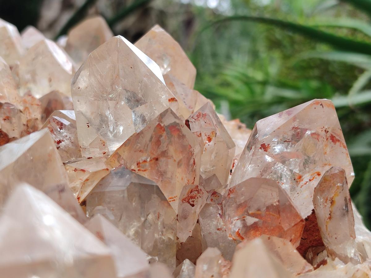 Natural XXL Pale Citrine Quartz Crystal Cluster x 1 From Luena, Congo - Toprock Gemstones and Minerals 