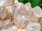 Natural XXL Pale Citrine Quartz Crystal Cluster x 1 From Luena, Congo - Toprock Gemstones and Minerals 