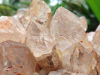 Natural XXL Pale Citrine Quartz Crystal Cluster x 1 From Luena, Congo - Toprock Gemstones and Minerals 