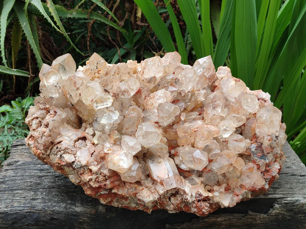 Natural XXL Pale Citrine Quartz Crystal Cluster x 1 From Luena, Congo - Toprock Gemstones and Minerals 
