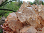 Natural XXL Pale Citrine Quartz Crystal Cluster x 1 From Luena, Congo - Toprock Gemstones and Minerals 