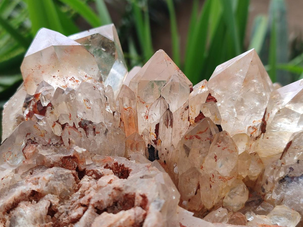 Natural XXL Pale Citrine Quartz Crystal Cluster x 1 From Luena, Congo - Toprock Gemstones and Minerals 
