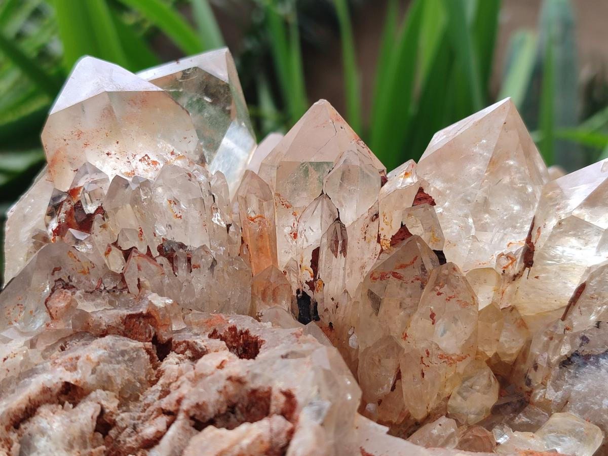 Natural XXL Pale Citrine Quartz Crystal Cluster x 1 From Luena, Congo - Toprock Gemstones and Minerals 