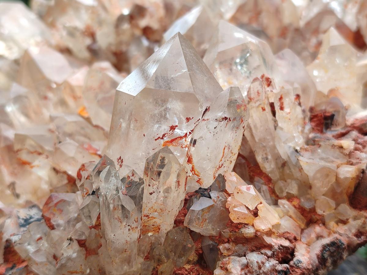 Natural XXL Pale Citrine Quartz Crystal Cluster x 1 From Luena, Congo - Toprock Gemstones and Minerals 