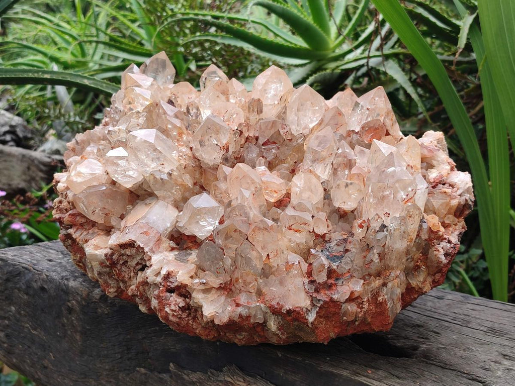 Natural XXL Pale Citrine Quartz Crystal Cluster x 1 From Luena, Congo - Toprock Gemstones and Minerals 