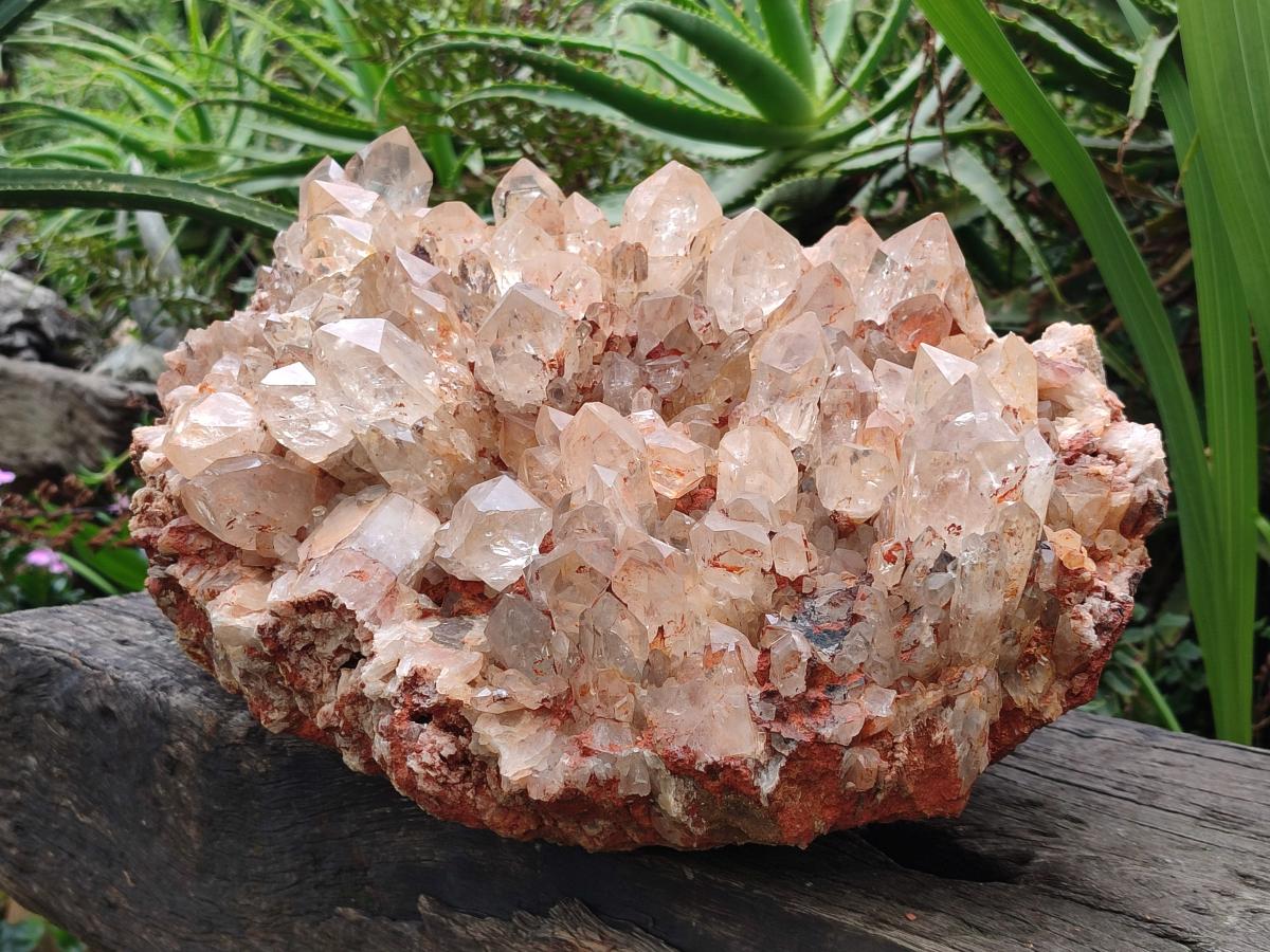 Natural XXL Pale Citrine Quartz Crystal Cluster x 1 From Luena, Congo - Toprock Gemstones and Minerals 