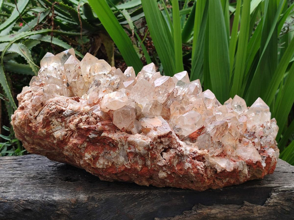Natural XXL Pale Citrine Quartz Crystal Cluster x 1 From Luena, Congo - Toprock Gemstones and Minerals 
