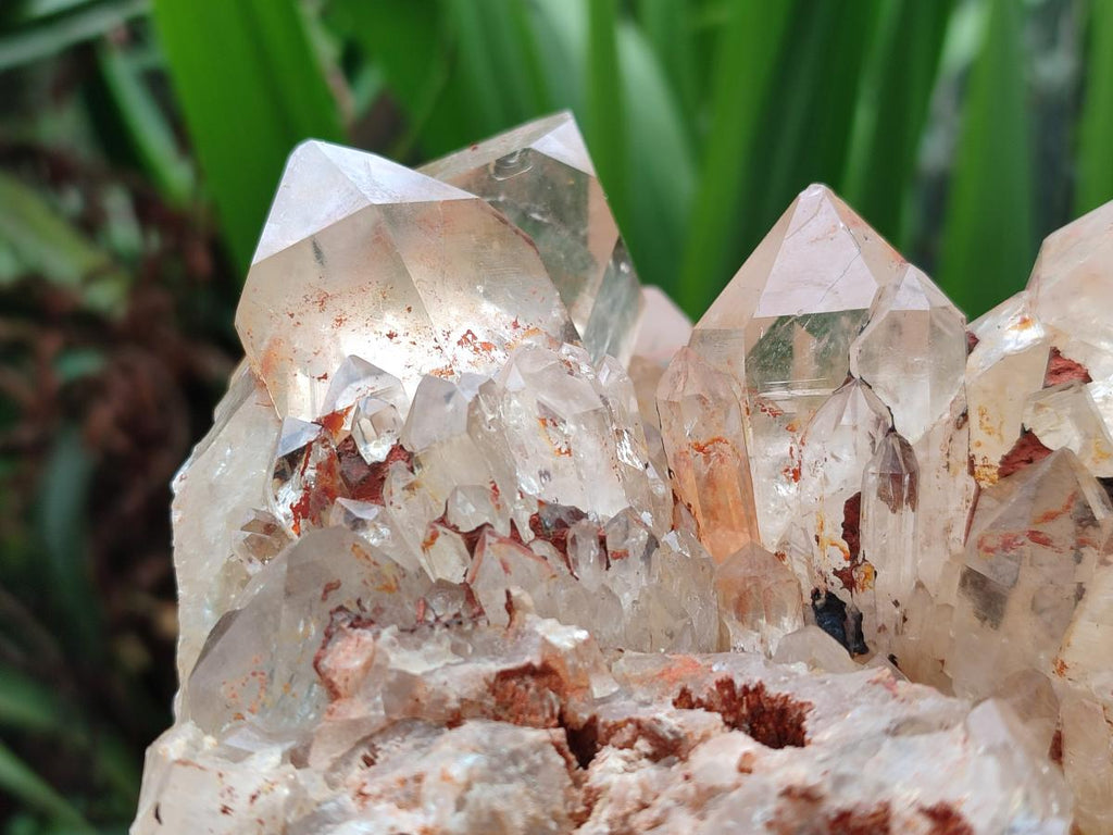 Natural XXL Pale Citrine Quartz Crystal Cluster x 1 From Luena, Congo - Toprock Gemstones and Minerals 