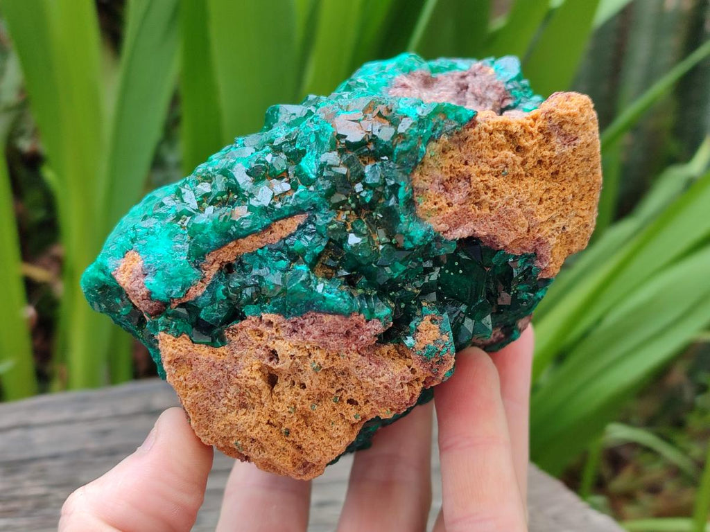 Natural Large Cabinet Size Dioptase Specimen on Dolomite Matrix x 1 From Tantara Mine, Congo - Toprock Gemstones and Minerals 