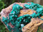 Natural Large Cabinet Size Dioptase Specimen on Dolomite Matrix x 1 From Tantara Mine, Congo - Toprock Gemstones and Minerals 