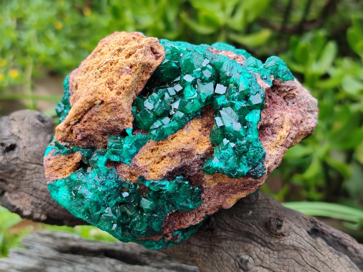 Natural Large Cabinet Size Dioptase Specimen on Dolomite Matrix x 1 From Tantara Mine, Congo - Toprock Gemstones and Minerals 