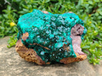 Natural Large Cabinet Size Dioptase Specimen on Dolomite Matrix x 1 From Tantara Mine, Congo - Toprock Gemstones and Minerals 