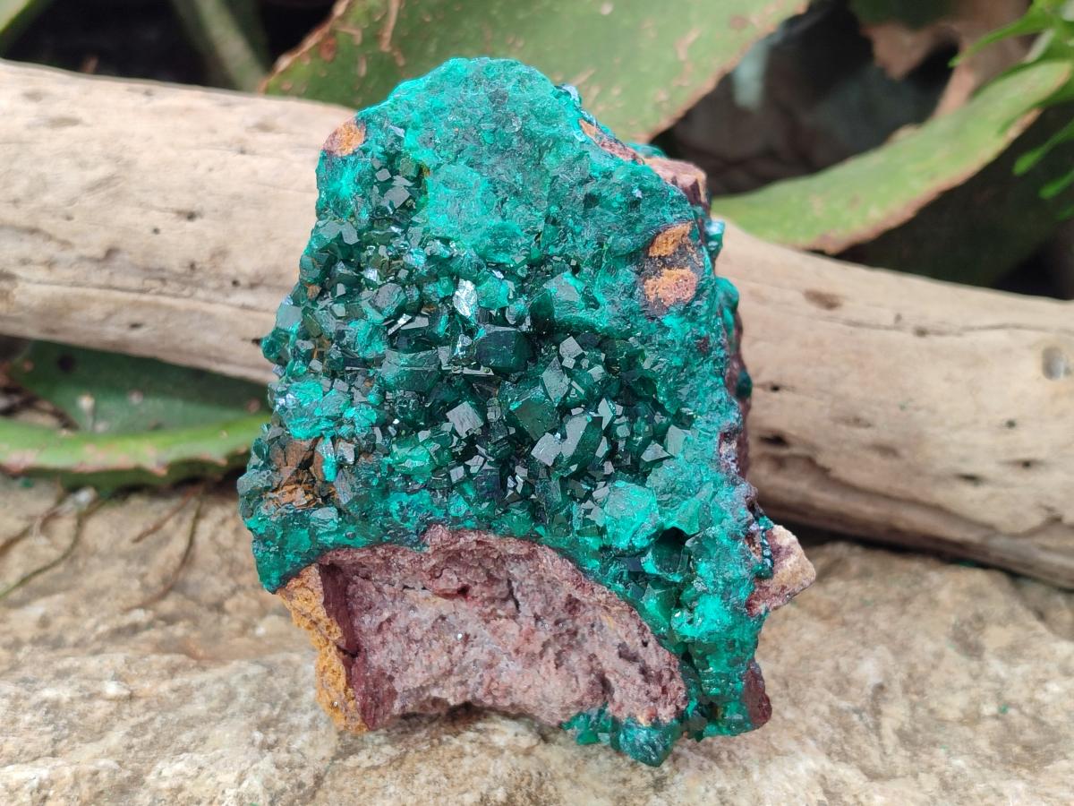 Natural Large Cabinet Size Dioptase Specimen on Dolomite Matrix x 1 From Tantara Mine, Congo - Toprock Gemstones and Minerals 
