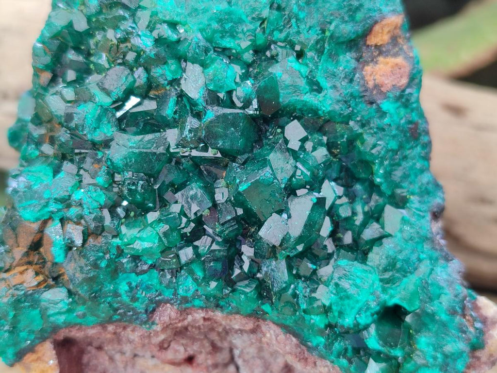 Natural Large Cabinet Size Dioptase Specimen on Dolomite Matrix x 1 From Tantara Mine, Congo - Toprock Gemstones and Minerals 