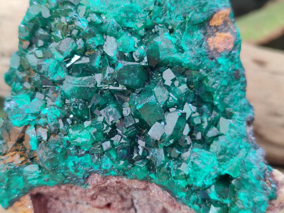 Natural Large Cabinet Size Dioptase Specimen on Dolomite Matrix x 1 From Tantara Mine, Congo - Toprock Gemstones and Minerals 