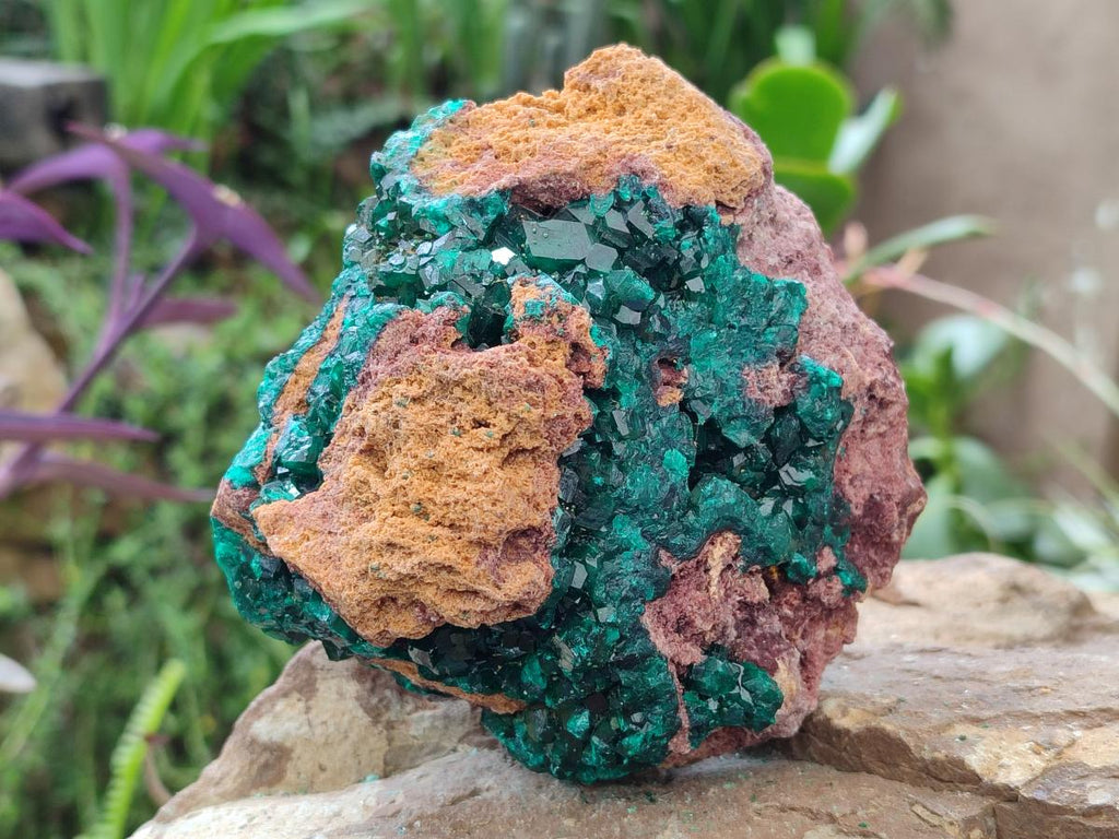 Natural Large Cabinet Size Dioptase Specimen on Dolomite Matrix x 1 From Tantara Mine, Congo - Toprock Gemstones and Minerals 