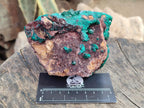 Natural Large Cabinet Size Dioptase Specimen on Dolomite Matrix x 1 From Tantara Mine, Congo - Toprock Gemstones and Minerals 