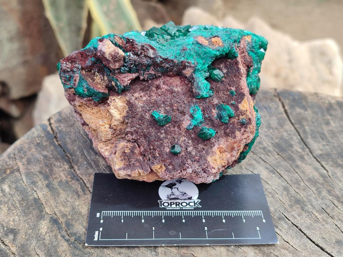 Natural Large Cabinet Size Dioptase Specimen on Dolomite Matrix x 1 From Tantara Mine, Congo - Toprock Gemstones and Minerals 