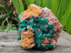Natural Large Cabinet Size Dioptase Specimen on Dolomite Matrix x 1 From Tantara Mine, Congo - Toprock Gemstones and Minerals 