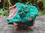 Natural Large Cabinet Size Dioptase Specimen on Dolomite Matrix x 1 From Tantara Mine, Congo - Toprock Gemstones and Minerals 