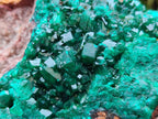 Natural Large Cabinet Size Dioptase Specimen on Dolomite Matrix x 1 From Tantara Mine, Congo - Toprock Gemstones and Minerals 