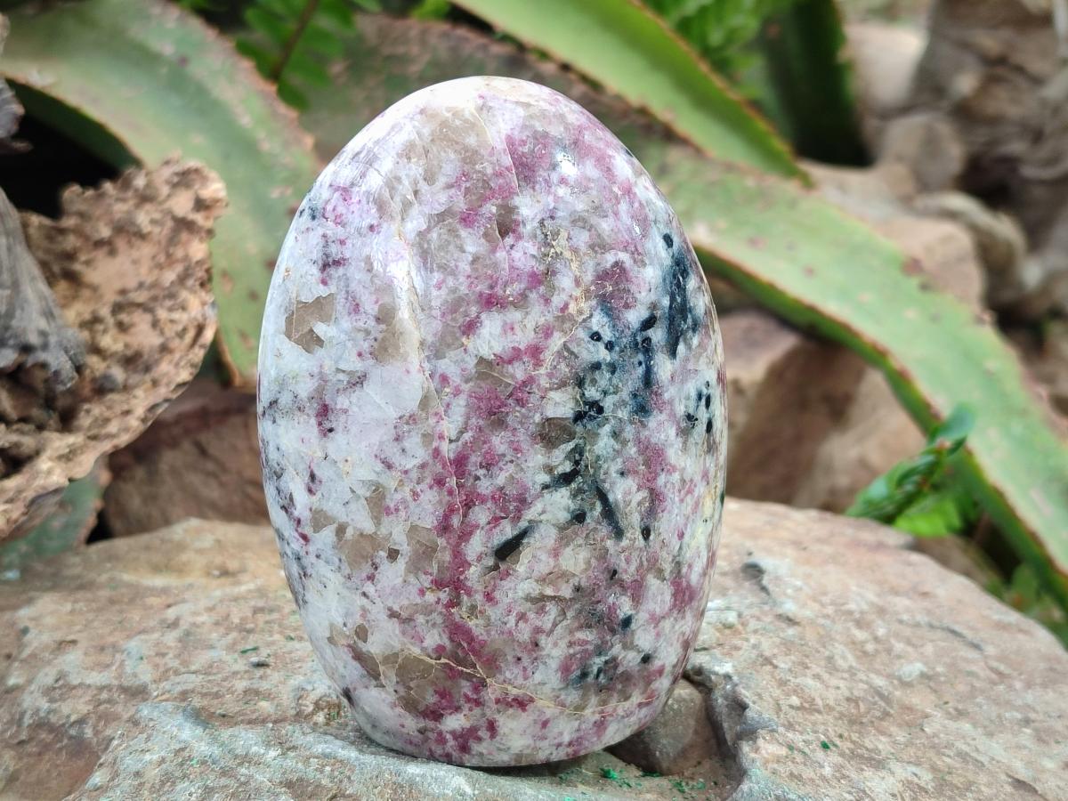 Polished Mix of Rubellite Pink Tourmaline Pieces x 4 From Ambatondrazaka, Madagascar - Toprock Gemstones and Minerals 