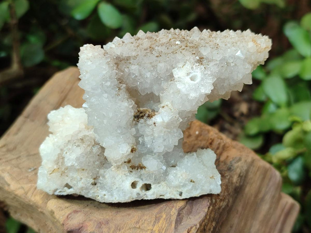 Natural Drusy Snow Finger Quartz Coated Clusters x 12 From Albert's Mountain, Lesotho - Toprock Gemstones and Minerals 